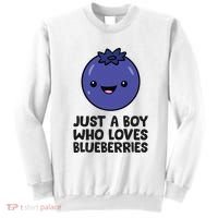 Just A Boy Who Loves Blueberries Sweatshirt thumb 0