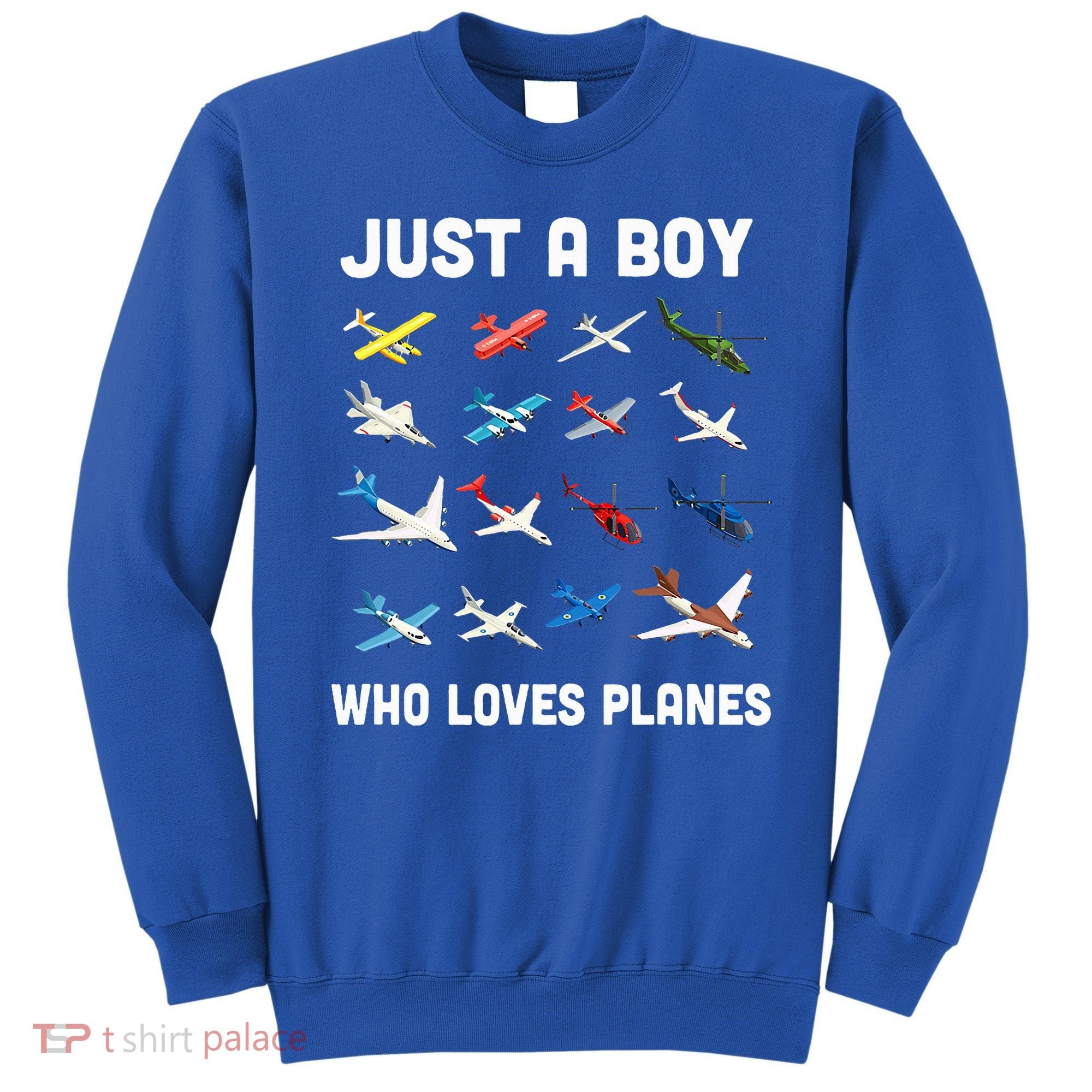 Just A Boy Who Loves Planes Sweatshirt