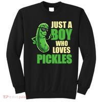 Just A Boy Who Loves Pickles Funny Pickle Boy Sweatshirt thumb 0