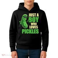 Just A Boy Who Loves Pickles Funny Pickle Boy Kids Hoodie thumb 4
