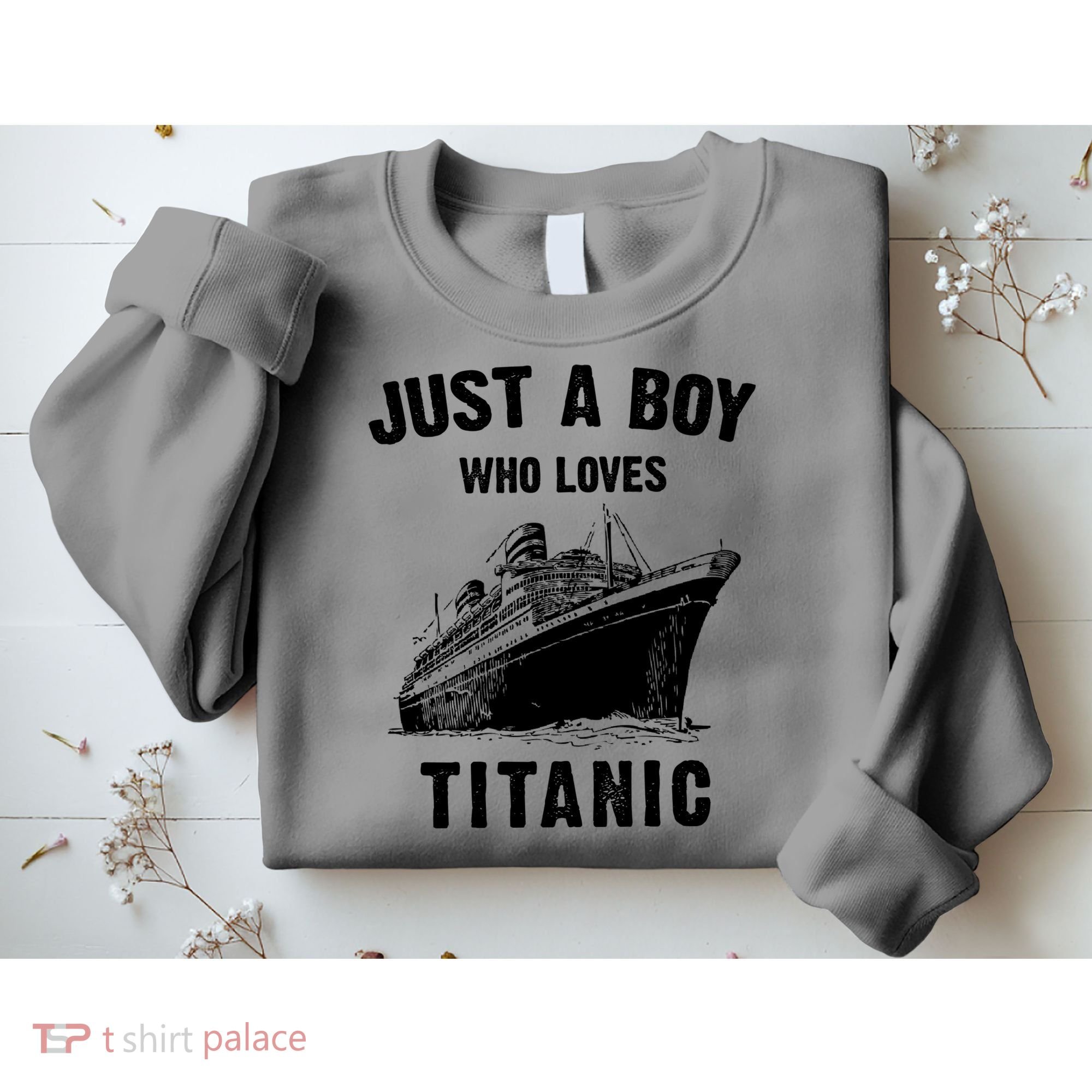Just A Boy Who Loves Titanic Sweatshirt