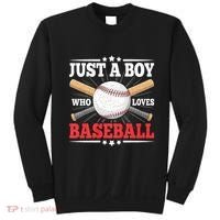 Just A Boy Who Loves Baseball Funny Baseball Player Sweatshirt thumb 0