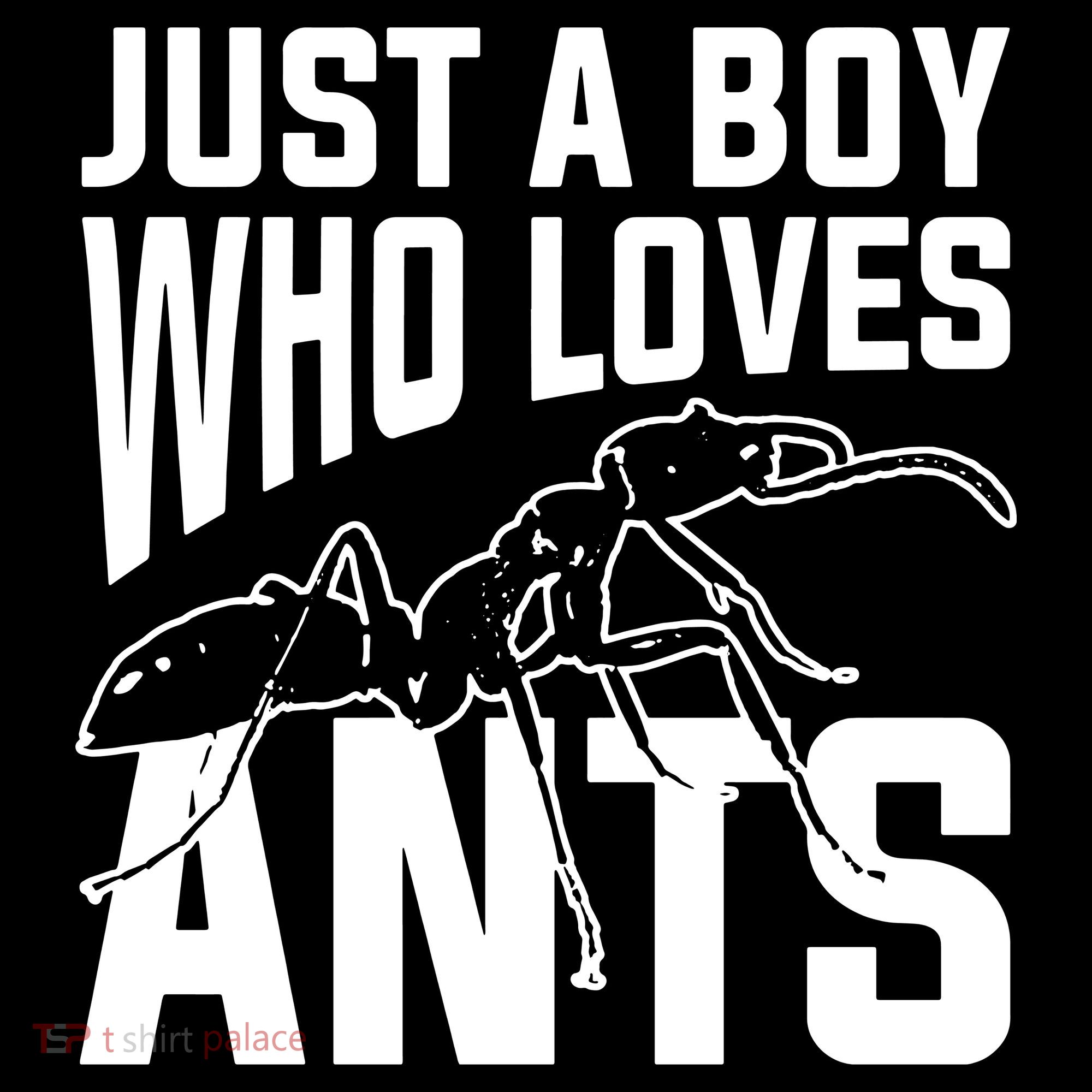 Just A Boy Who Loves Ants Kids Colorblock Raglan Jersey
