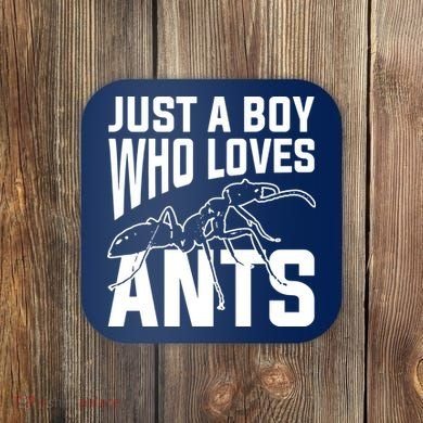 Just A Boy Who Loves Ants Coaster