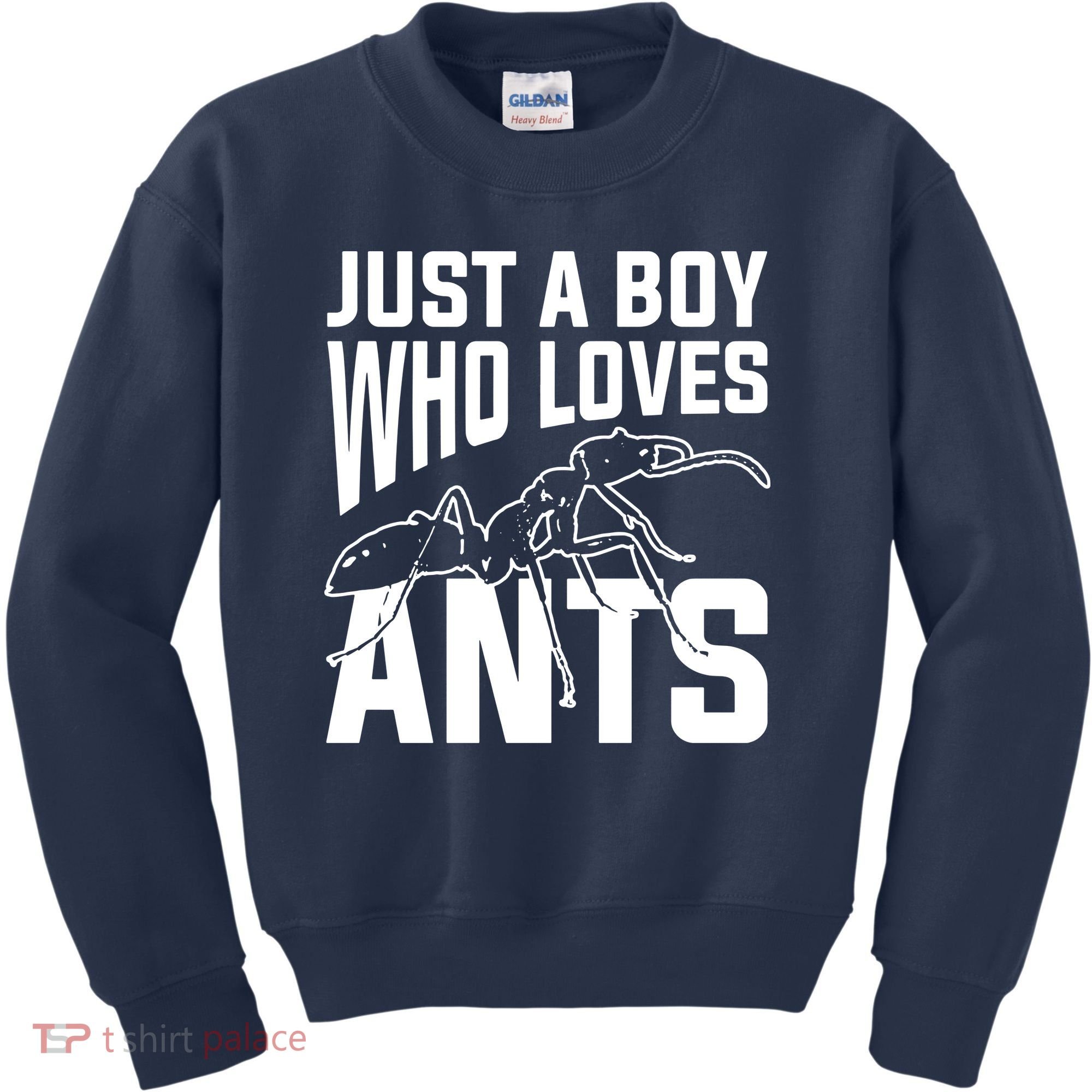 Just A Boy Who Loves Ants Kids Sweatshirt