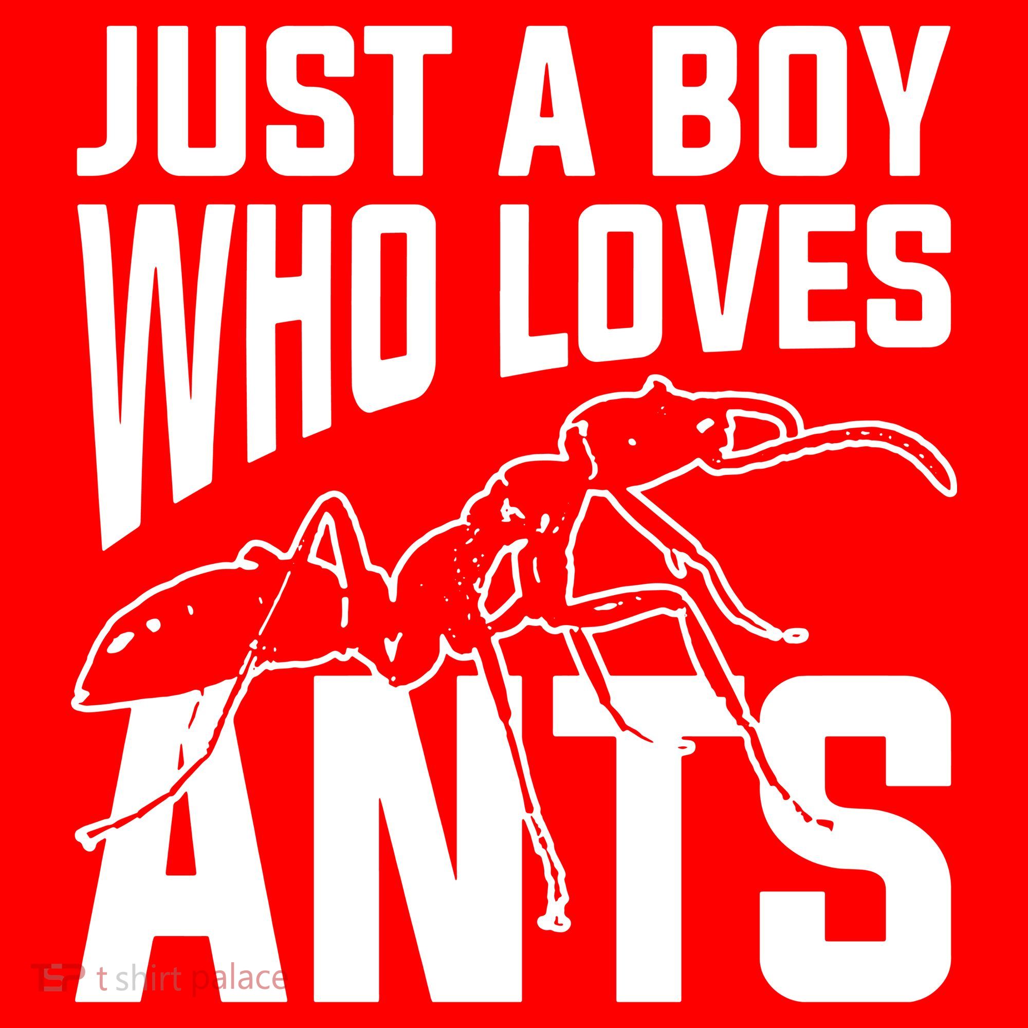 Just A Boy Who Loves Ants Santa Hat