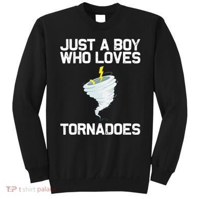 Just A Boy Who Loves Tornadoes Tornado Meteorologist Sweatshirt