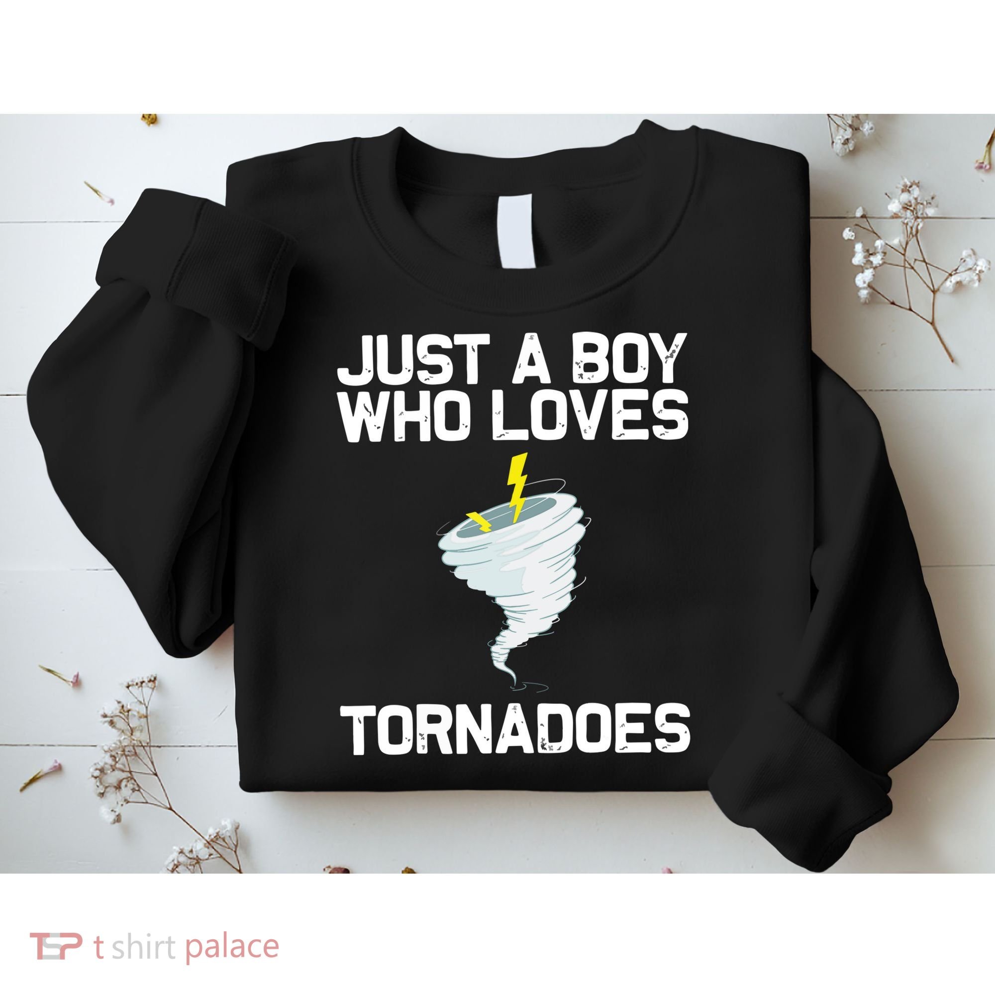 Just A Boy Who Loves Tornadoes Tornado Meteorologist Sweatshirt