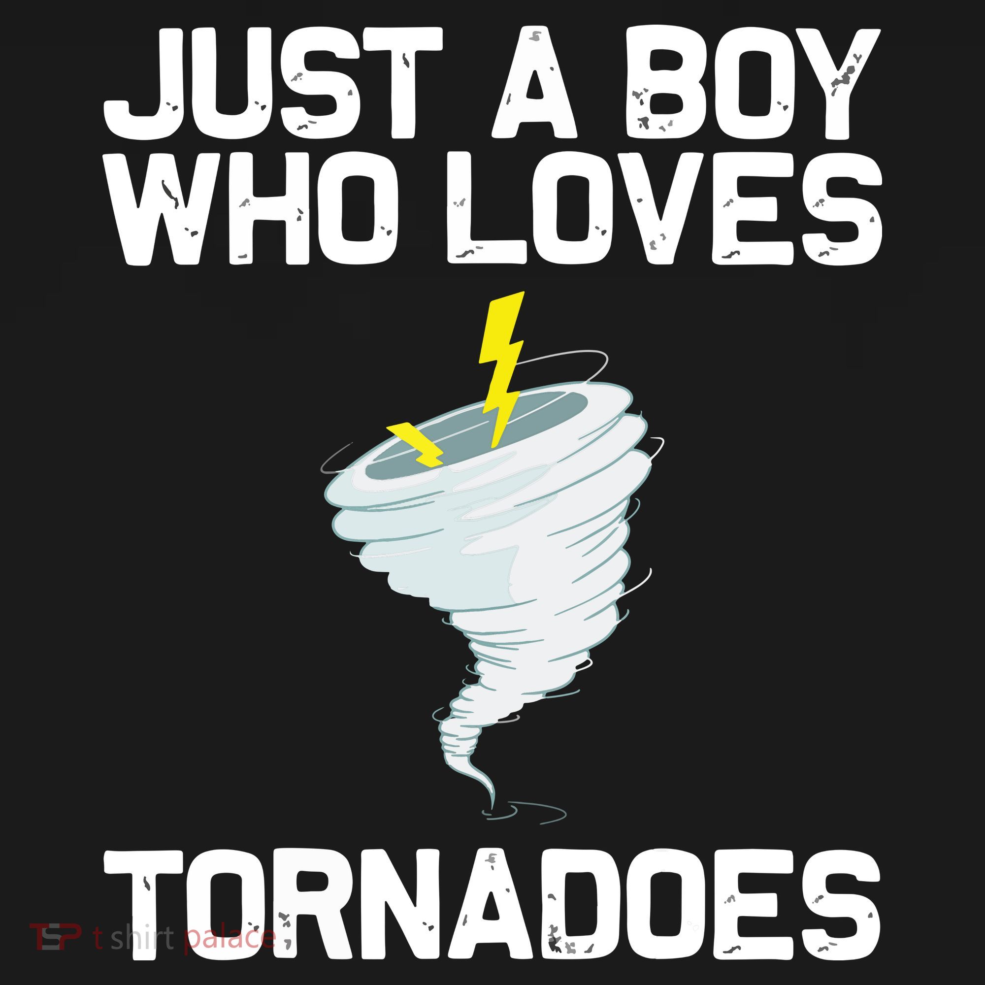 Just A Boy Who Loves Tornadoes Tornado Meteorologist Sweatshirt