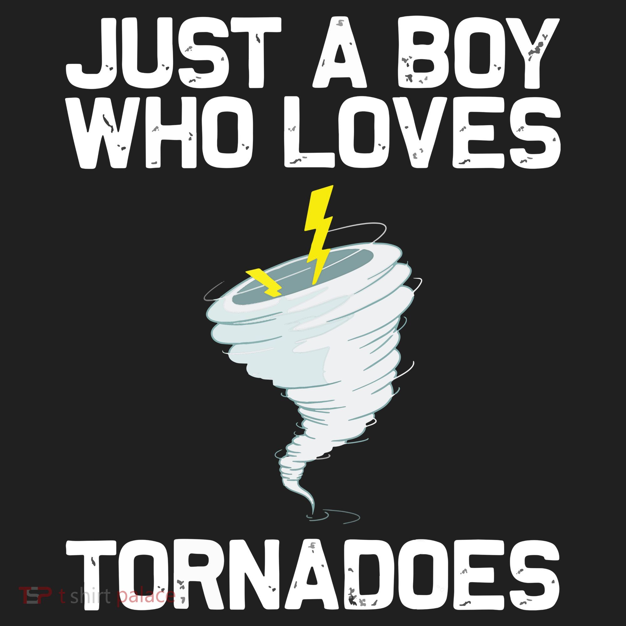 Just A Boy Who Loves Tornadoes Tornado Meteorologist Beanie