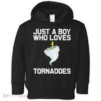 Just A Boy Who Loves Tornadoes Tornado Meteorologist Toddler Hoodie thumb 0