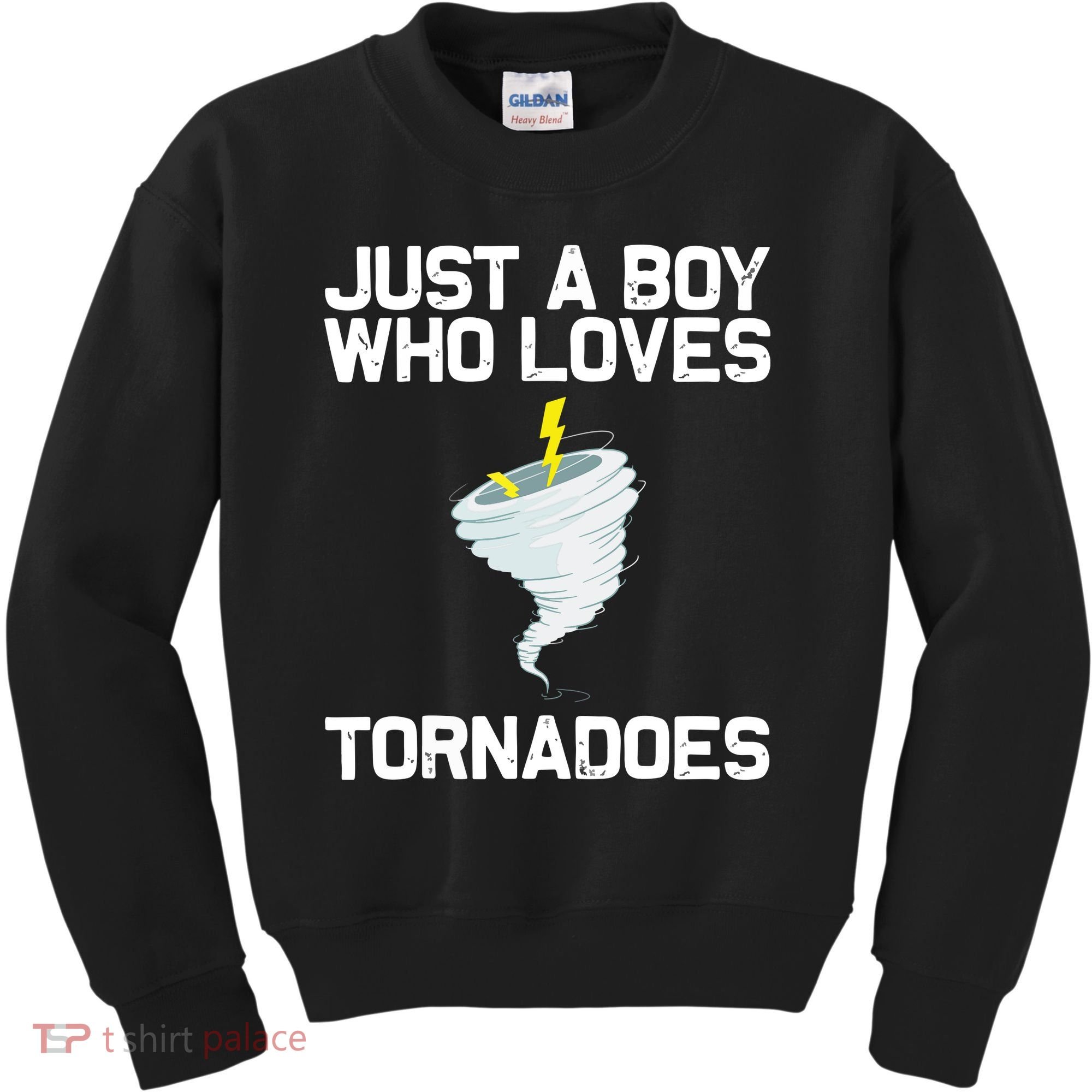 Just A Boy Who Loves Tornadoes Tornado Meteorologist Kids Sweatshirt