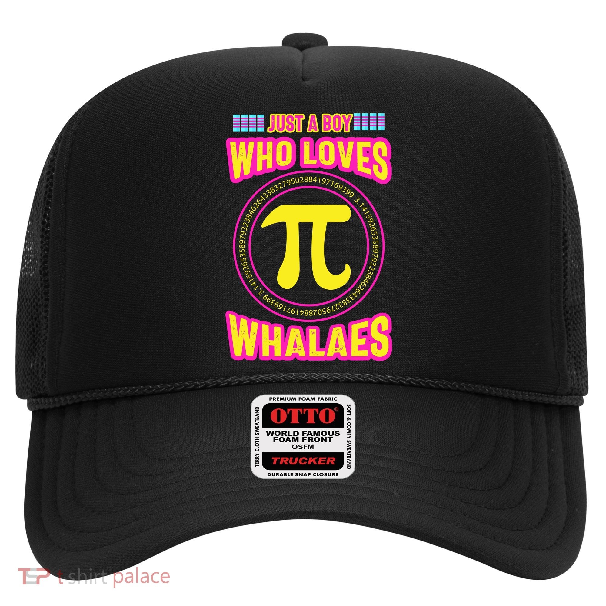Just A Boy Who Loves Pi Whales Pi Day Hat