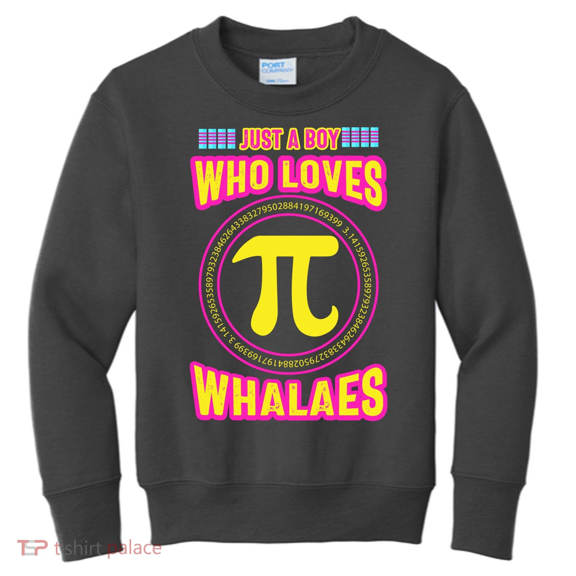 Just A Boy Who Loves Pi Whales Pi Day Kids Sweatshirt