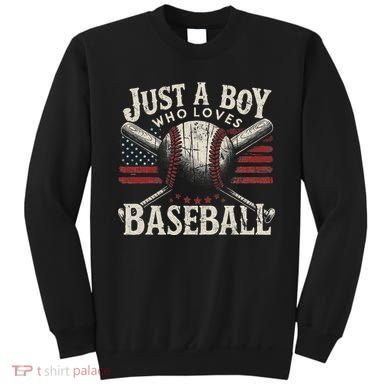 Just A Boy Who Loves Baseball Sweatshirt