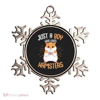 Just A Boy Who Loves Hamsters Hammy Boy Hamster Lover Ornament