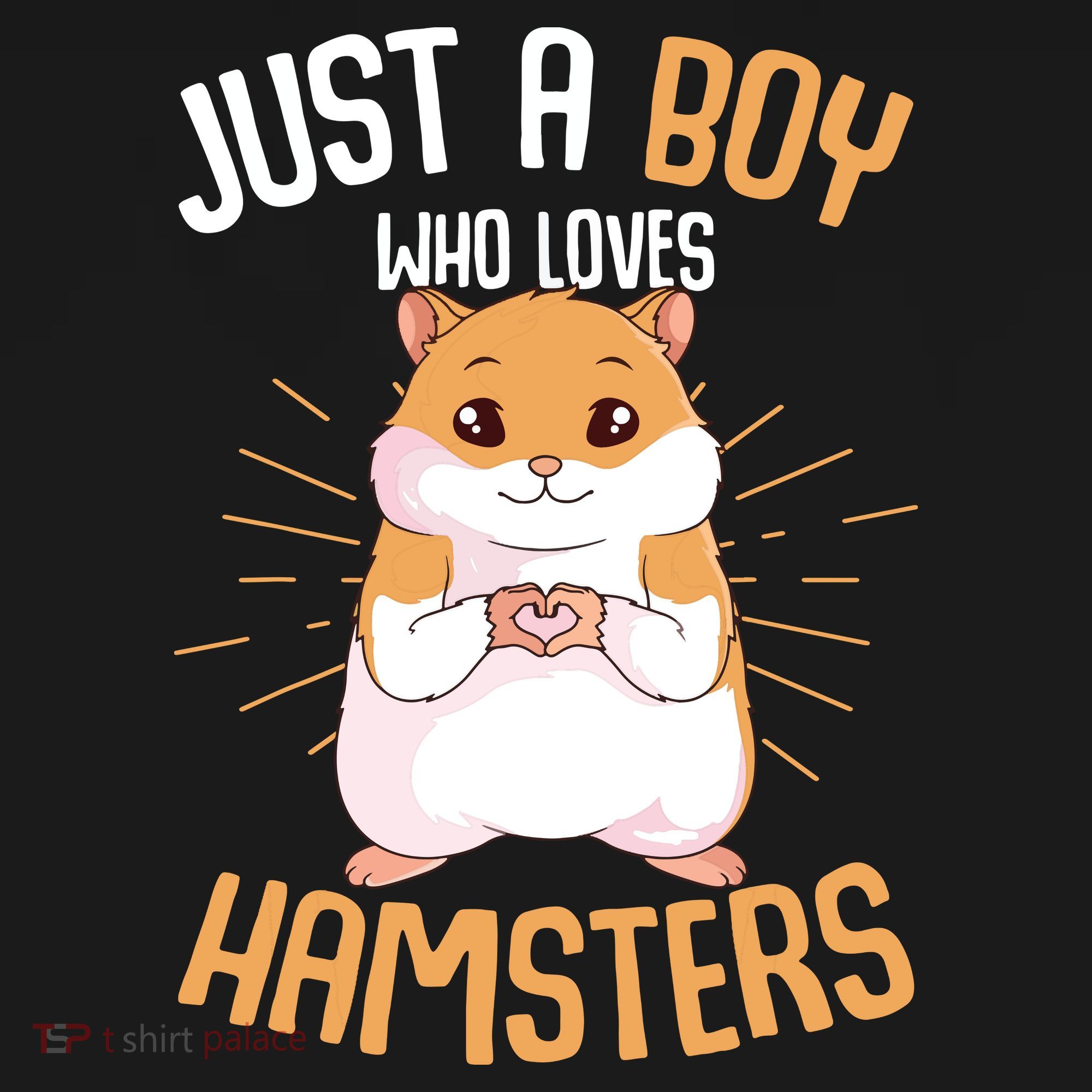Just A Boy Who Loves Hamsters Hammy Boy Hamster Lover Ornament