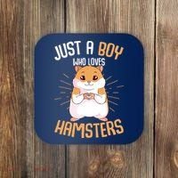 Just A Boy Who Loves Hamsters Hammy Boy Hamster Lover Coaster thumb 0