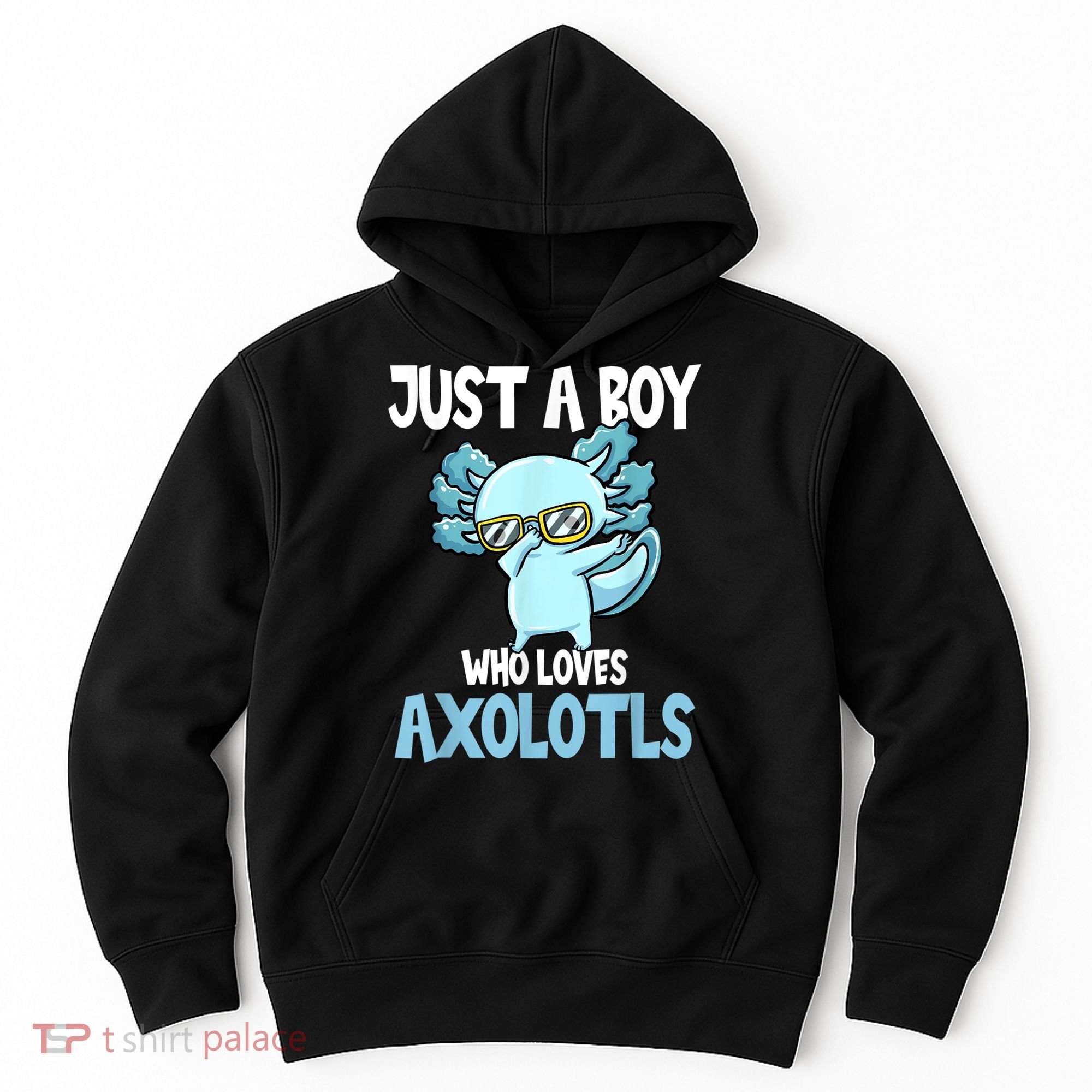 Just A Boy Who Loves Axolotls Cute Kawaii Hoodie