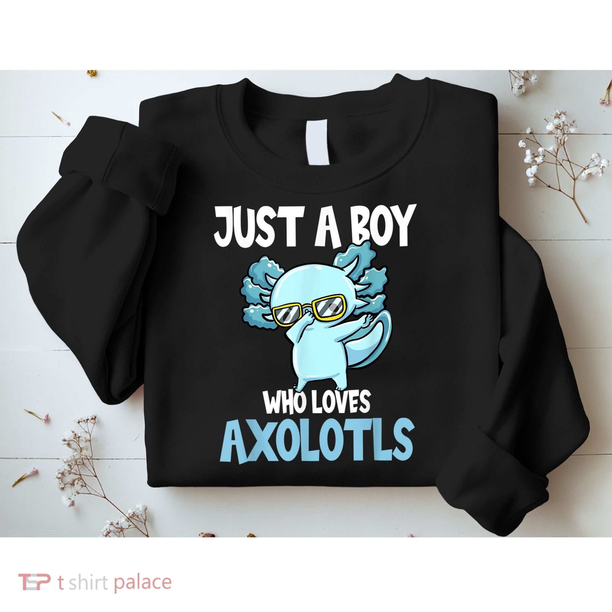 Just A Boy Who Loves Axolotls Cute Kawaii Sweatshirt