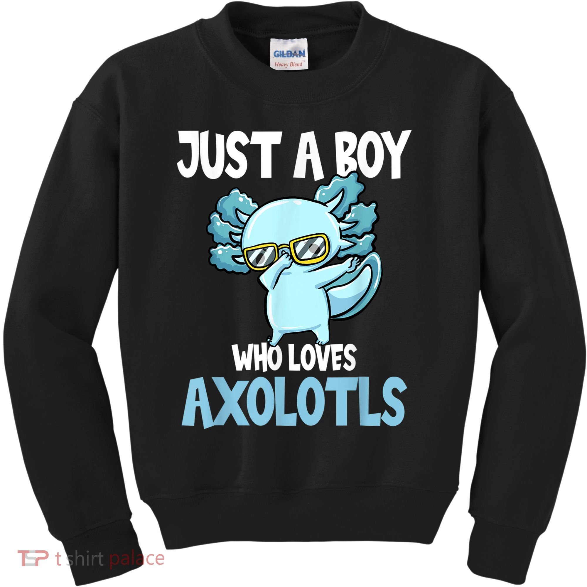 Just A Boy Who Loves Axolotls Cute Kawaii Kids Sweatshirt
