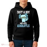 Just A Boy Who Loves Axolotls Cute Kawaii Kids Hoodie thumb 4