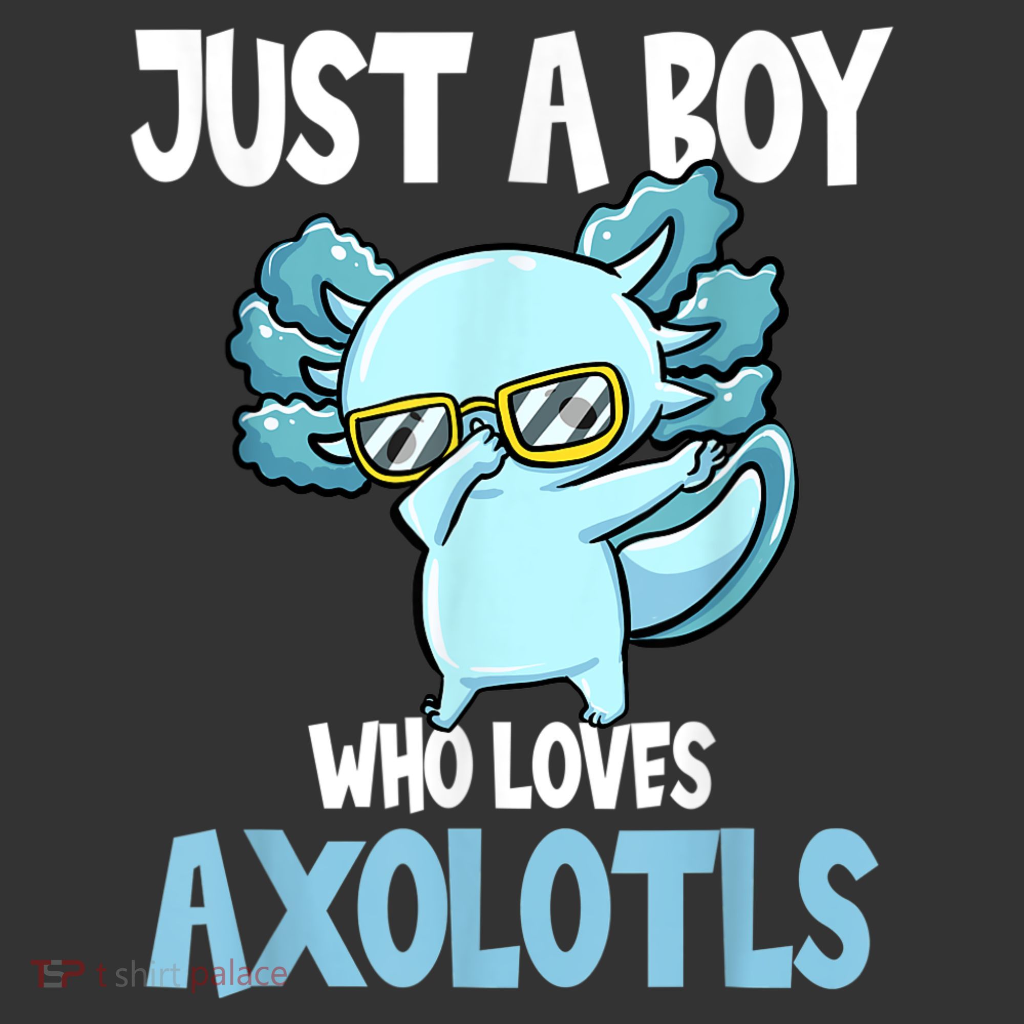 Just A Boy Who Loves Axolotls Cute Kawaii Ornament