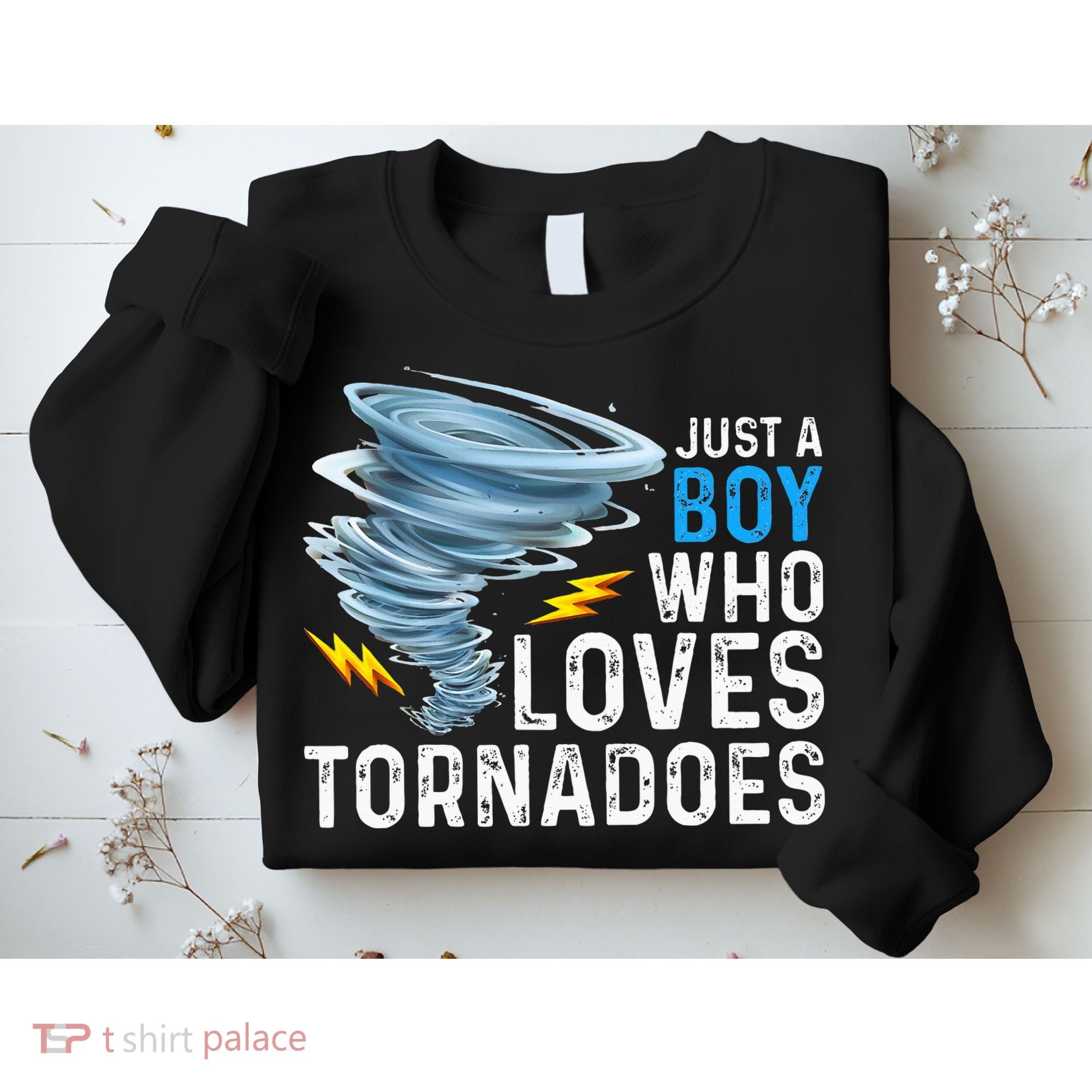 Just A Boy Who Loves Tornadoes Storm Weather Chaser Sweatshirt