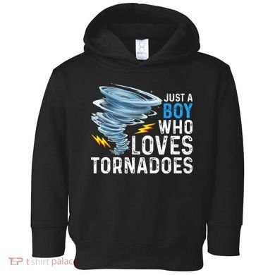 Just A Boy Who Loves Tornadoes Storm Weather Chaser Toddler Hoodie