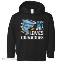 Just A Boy Who Loves Tornadoes Storm Weather Chaser Toddler Hoodie thumb 0