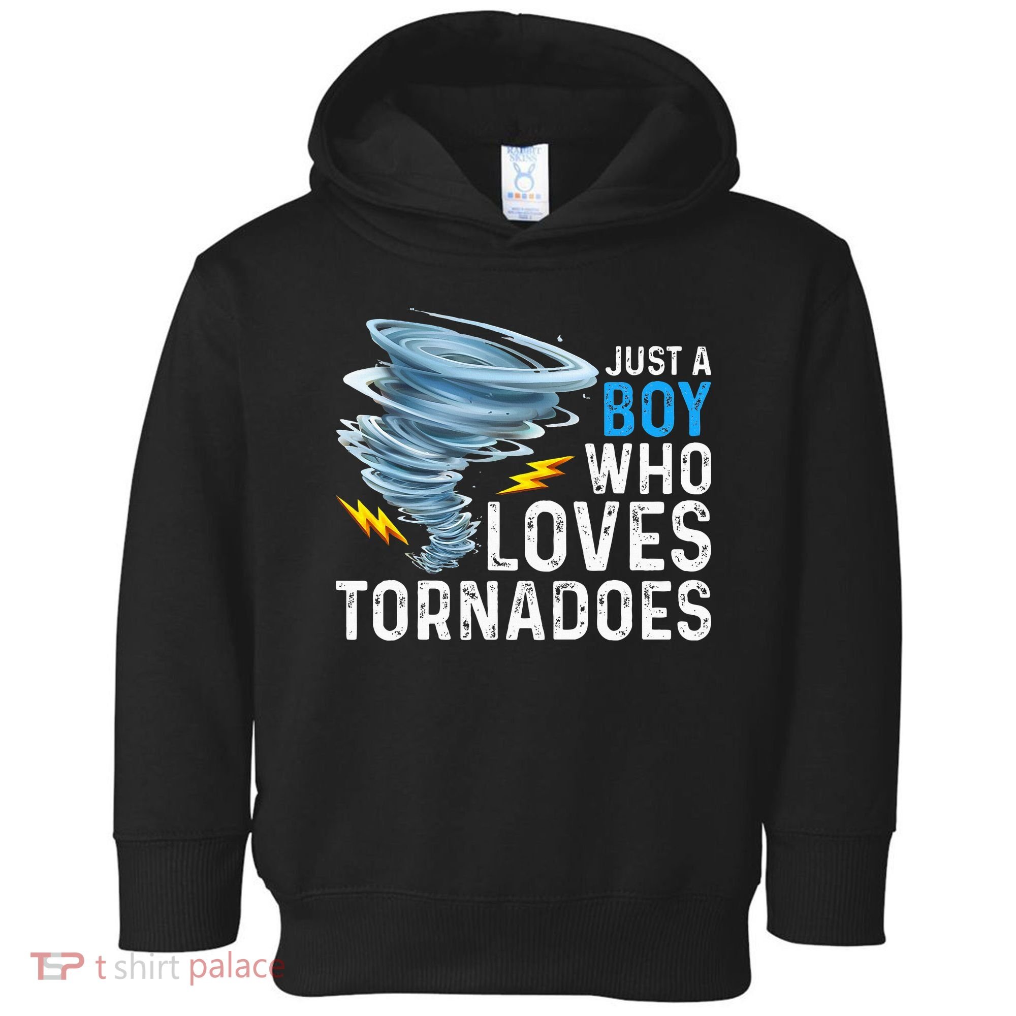 Just A Boy Who Loves Tornadoes Storm Weather Chaser Toddler Hoodie