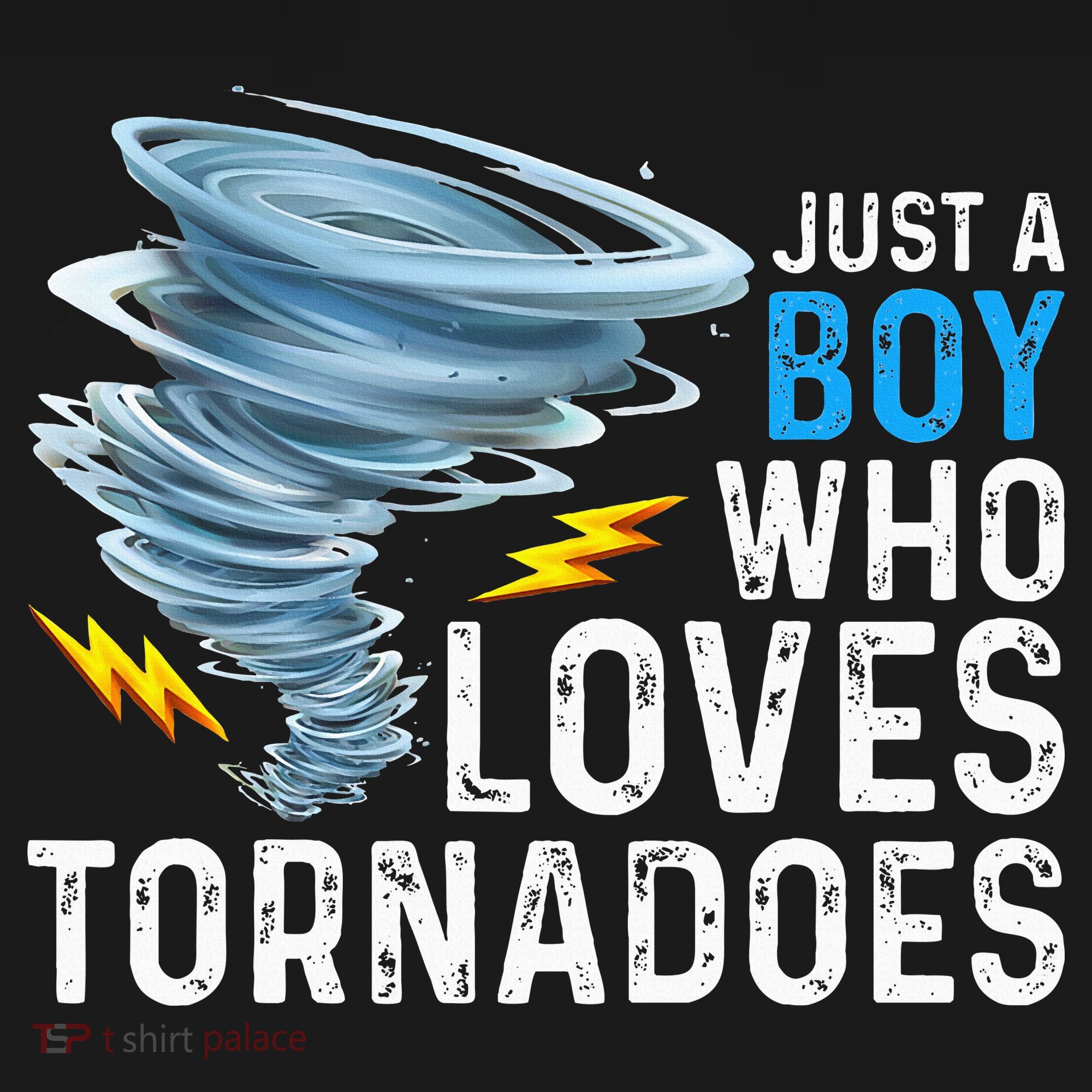 Just A Boy Who Loves Tornadoes Storm Weather Chaser Kids Sweatshirt