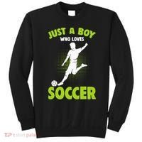 Just A Boy Who Loves Soccer Gift Sweatshirt thumb 0