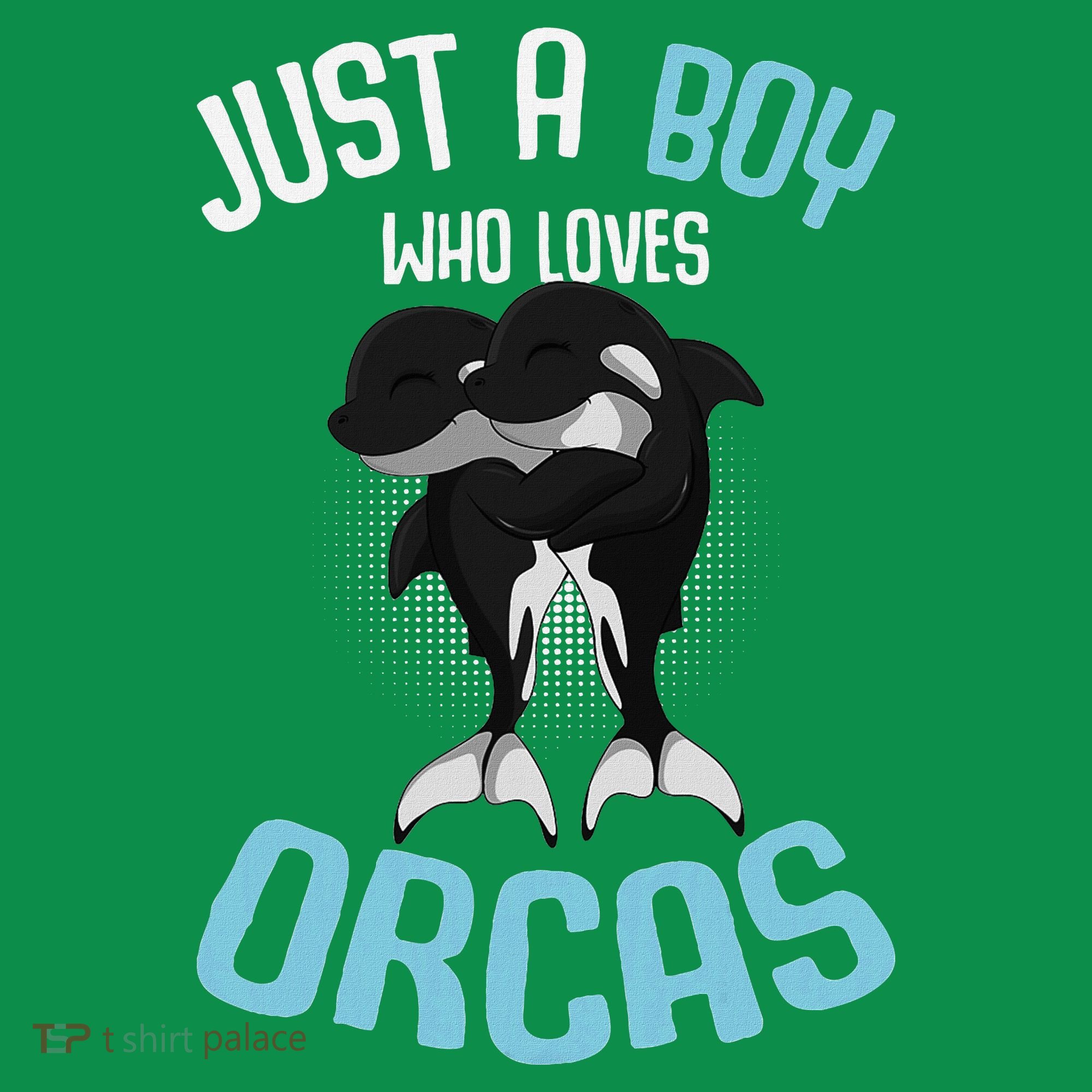 Just A Boy Who Loves Orcas Killer Whale Kids Hoodie
