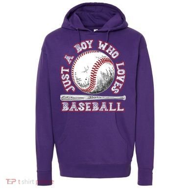 Just A Boy Who Loves Baseball Hoodie