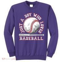 Just A Boy Who Loves Baseball Sweatshirt thumb 0