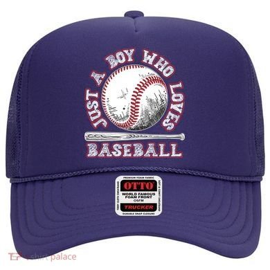 Just A Boy Who Loves Baseball Hat