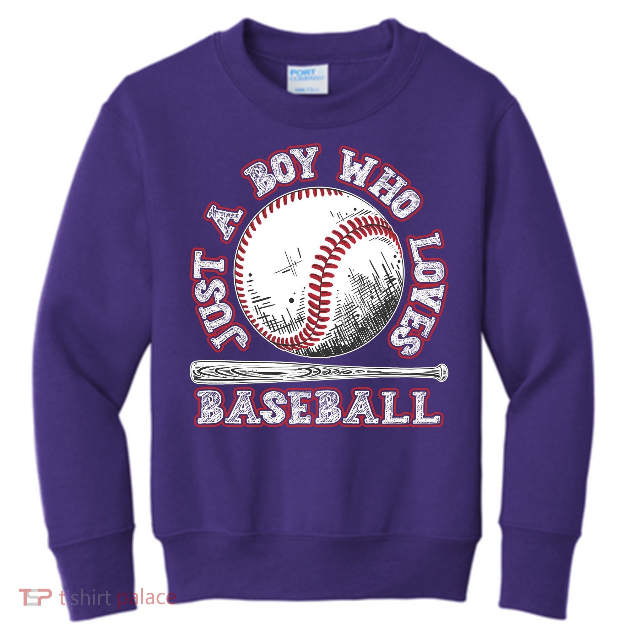 Just A Boy Who Loves Baseball Kids Sweatshirt
