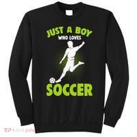 Just A Boy Who Loves Soccer Player Kids Sweatshirt thumb 0