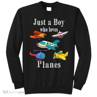 Just A Boy Who Loves Planes Airplane Sweatshirt