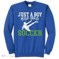Just A Boy Who Loves Soccer Gift Sweatshirt thumb 0