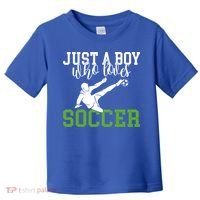 Just A Boy Who Loves Soccer Gift Toddler T-Shirt thumb 0