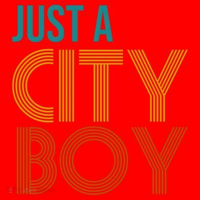 Just A City Boy Funny Santa Hat