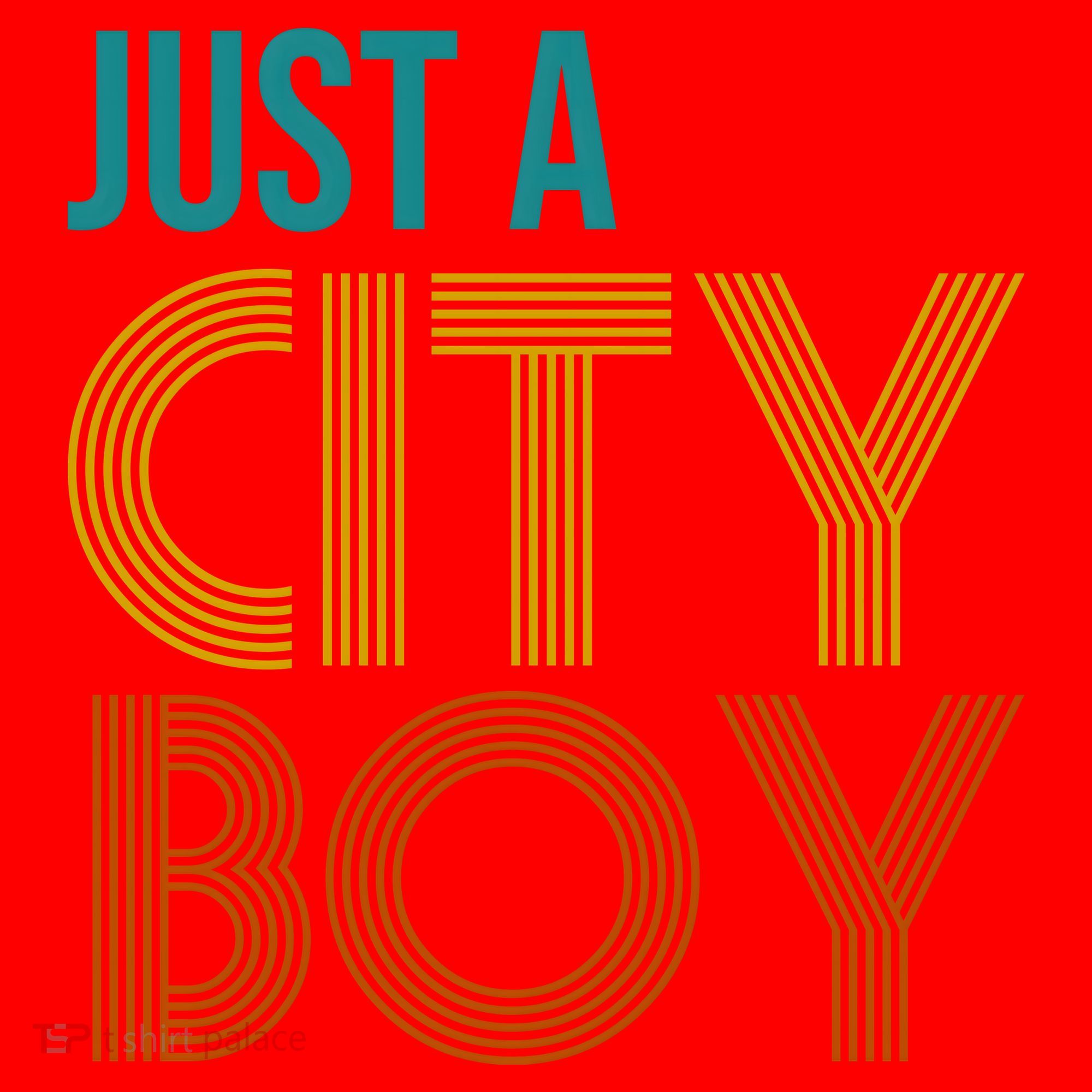 Just A City Boy Funny Santa Hat