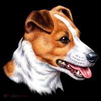 Jack Russell Dog Ornament thumb 1