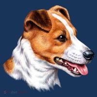 Jack Russell Dog Pajama Set thumb 2