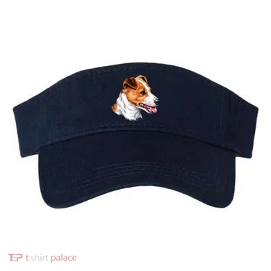 Visor