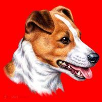 Jack Russell Dog Santa Hat thumb 1