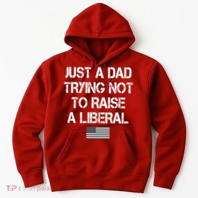 Just A Dad Trying Not To Raise A Liberal Father's Day Hoodie