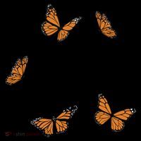 Just A Dreamer Butterfly Cute Gift Coaster thumb 2